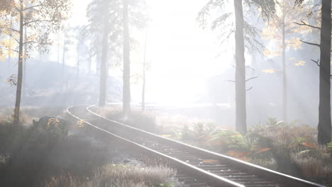 Leere-Eisenbahn-Fährt-Morgens-Durch-Nebligen-Wald